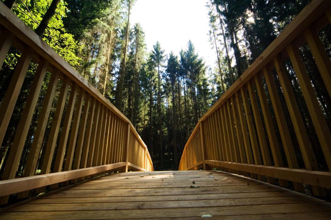 Forstgut - Premium Waldchalets Und Lodge Suiten Реґен Екстер'єр фото