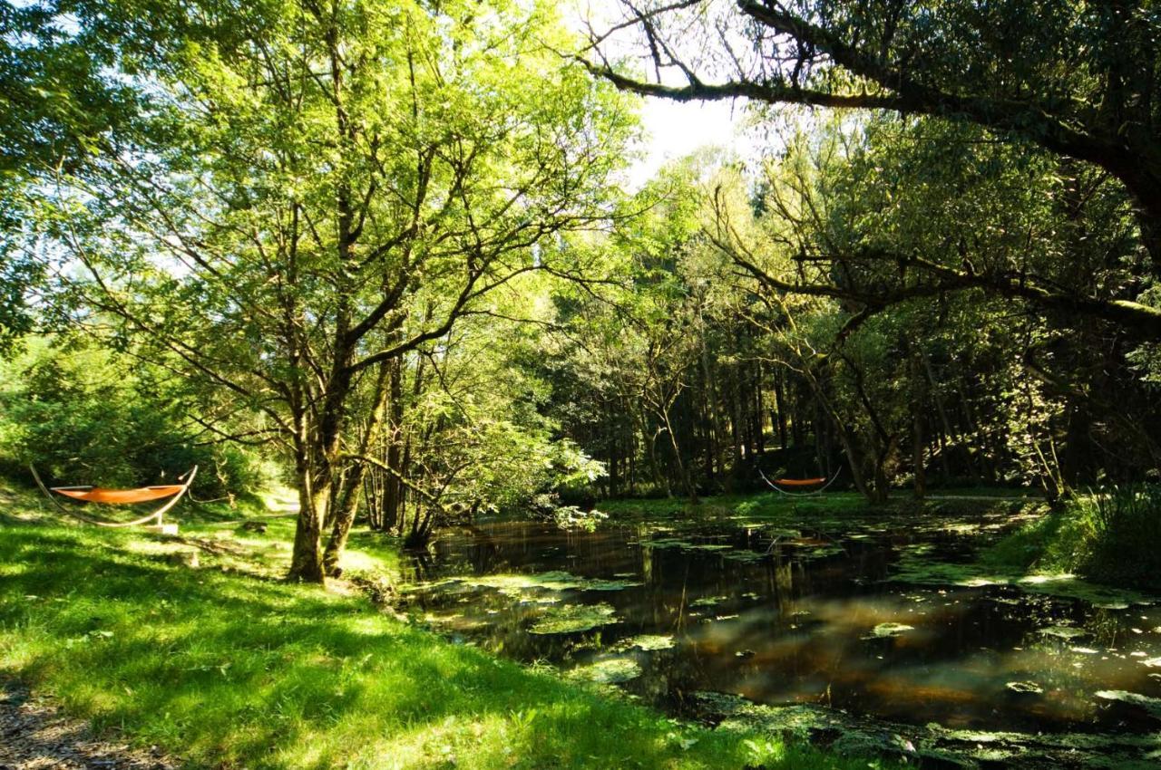 Forstgut - Premium Waldchalets Und Lodge Suiten Реґен Екстер'єр фото