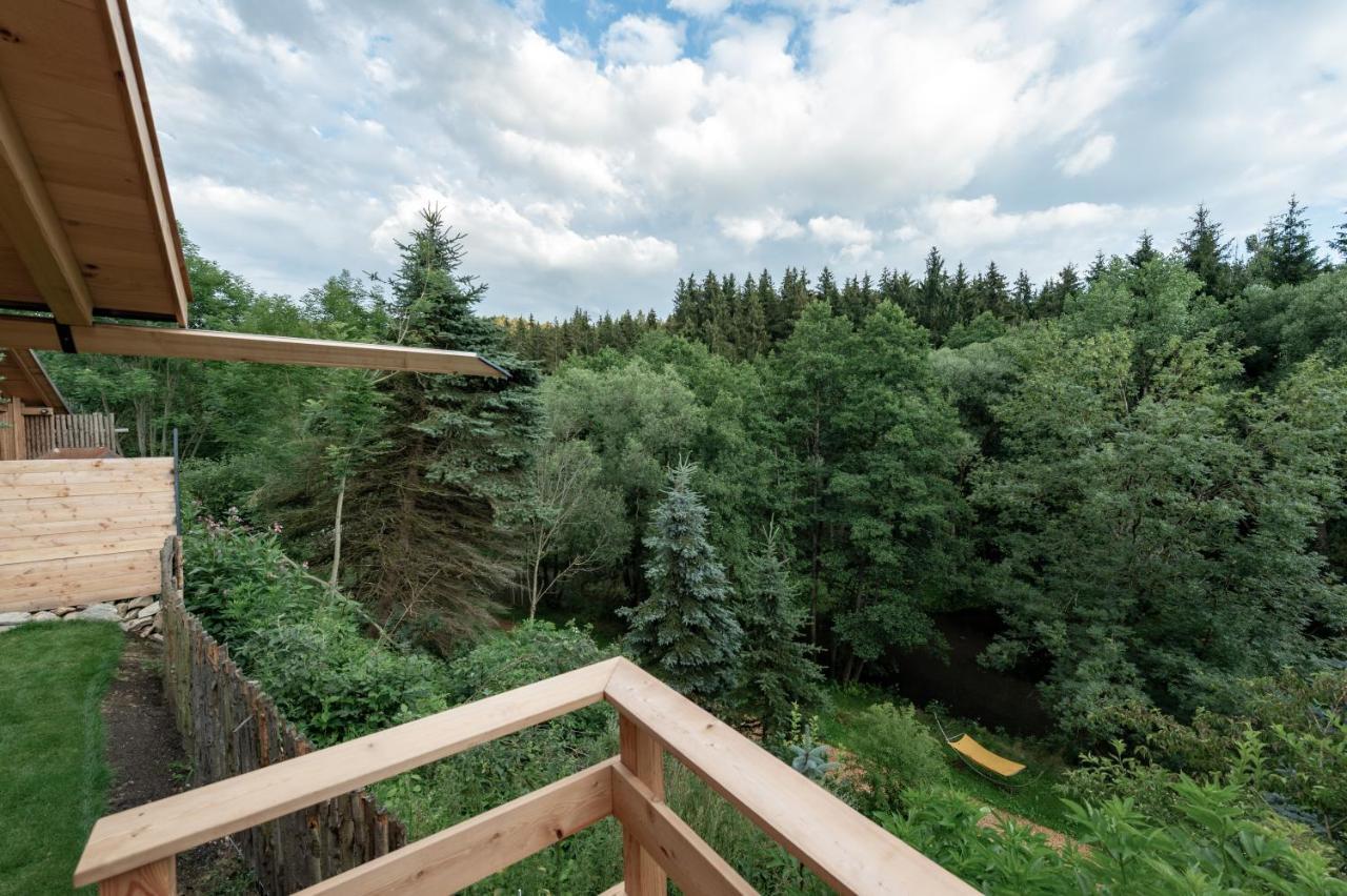 Forstgut - Premium Waldchalets Und Lodge Suiten Реґен Екстер'єр фото