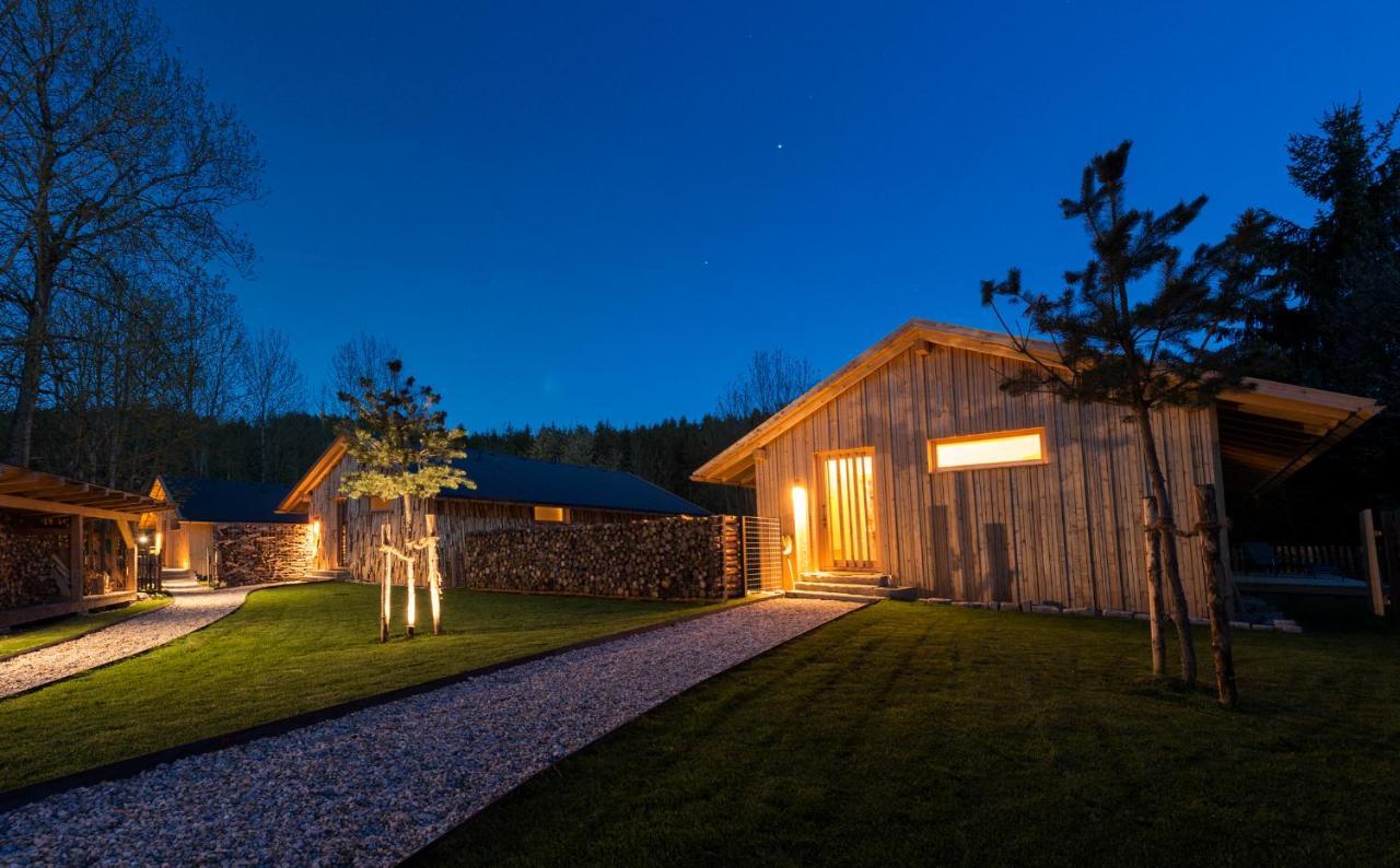 Forstgut - Premium Waldchalets Und Lodge Suiten Реґен Екстер'єр фото