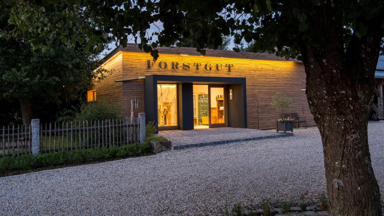Forstgut - Premium Waldchalets Und Lodge Suiten Реґен Екстер'єр фото