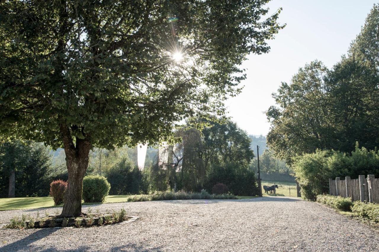 Forstgut - Premium Waldchalets Und Lodge Suiten Реґен Екстер'єр фото